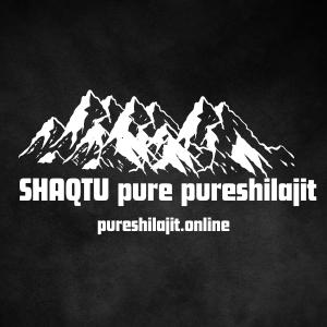 pureshilajit.online